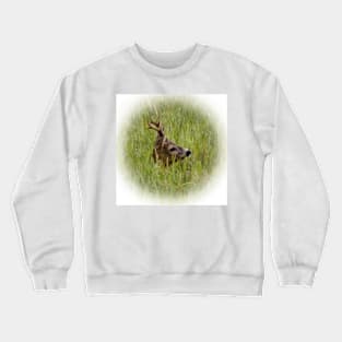 Roebuck Crewneck Sweatshirt